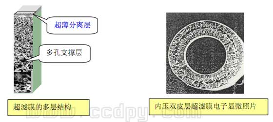 超濾膜電鏡結(jié)構(gòu)圖